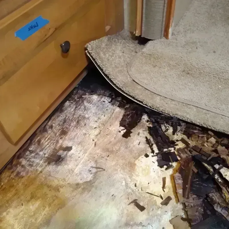 Best Wood Floor Water Damage Service in Goddard, MD